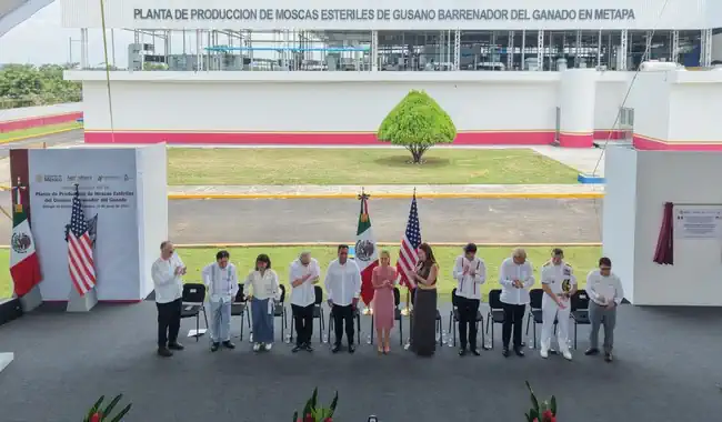Presidenta inaugura Planta de Producción de Moscas Estériles del Gusano Barrenador del ganado en Metapa de Domínguez, Chiapas