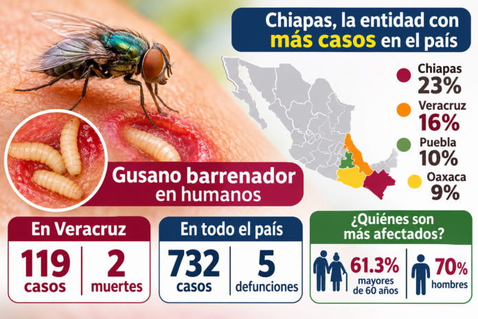 Veracruz concentra 119 casos y 2 defunciones por gusano barrenador en humanos